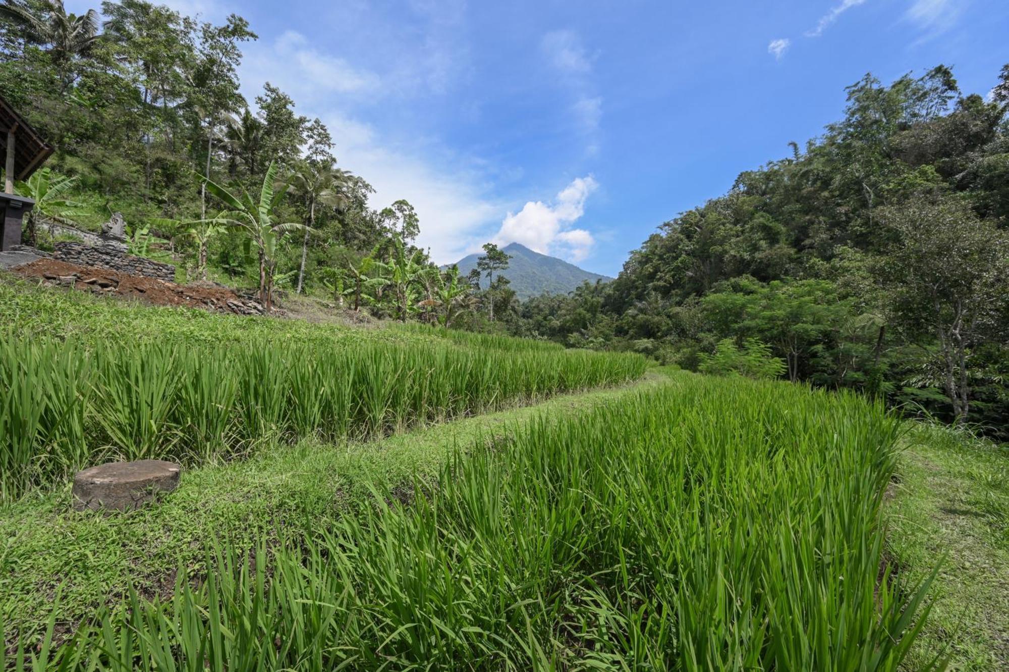 Yeh Baat Villa Jatiluwih Buitenkant foto