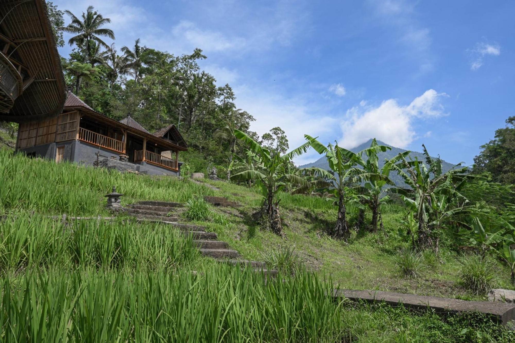 Yeh Baat Villa Jatiluwih Buitenkant foto