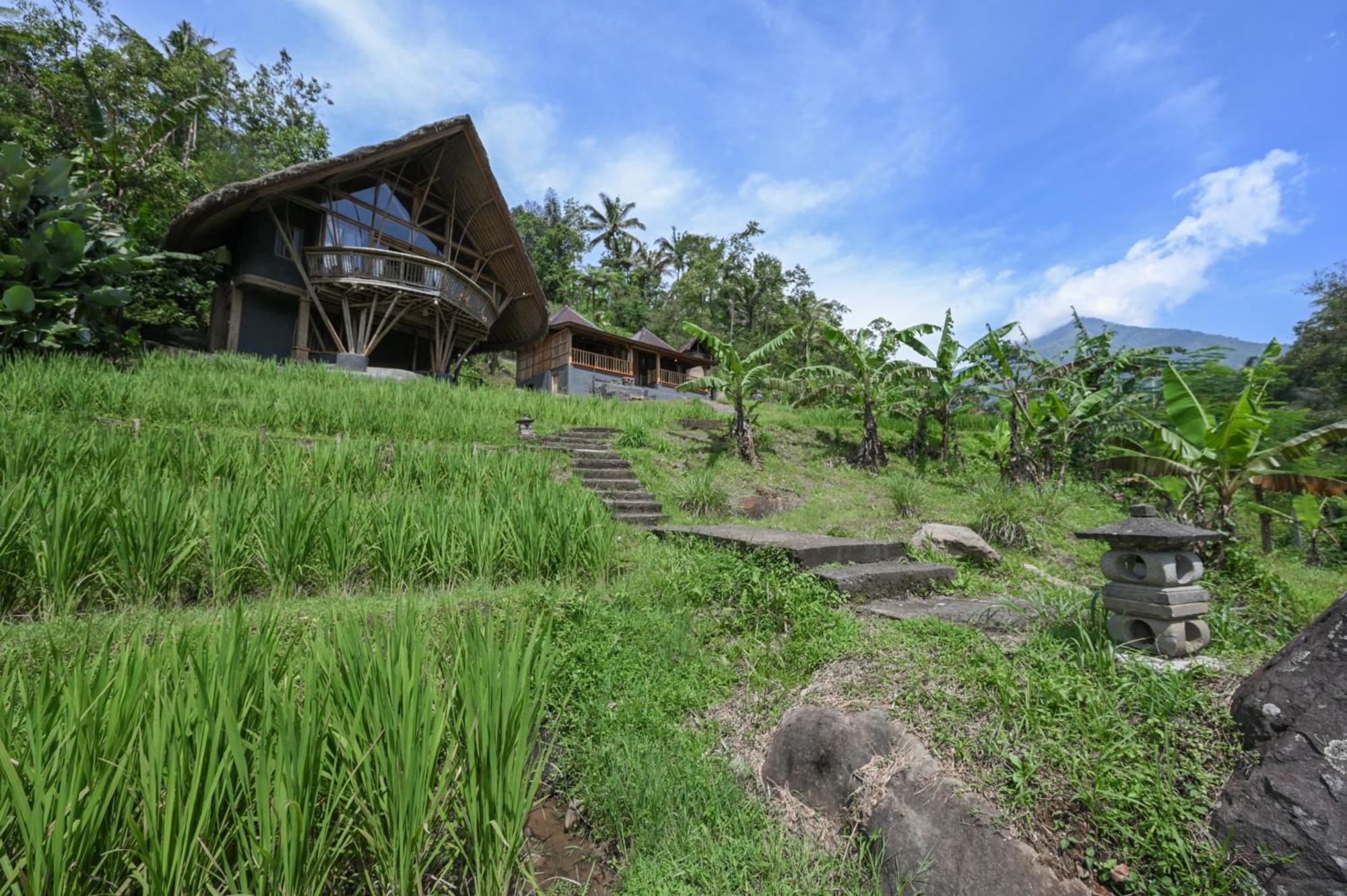 Yeh Baat Villa Jatiluwih Buitenkant foto
