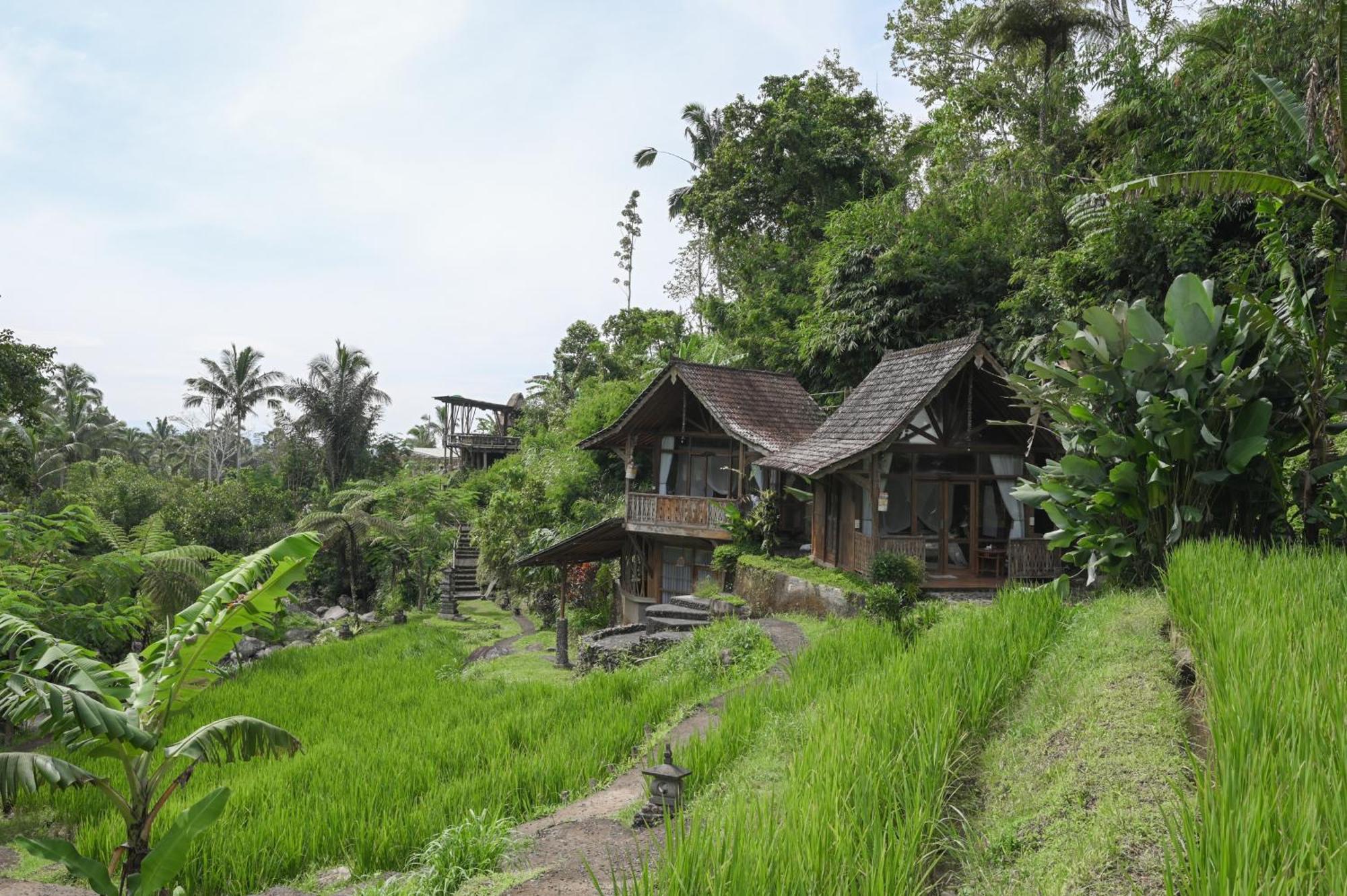 Yeh Baat Villa Jatiluwih Buitenkant foto
