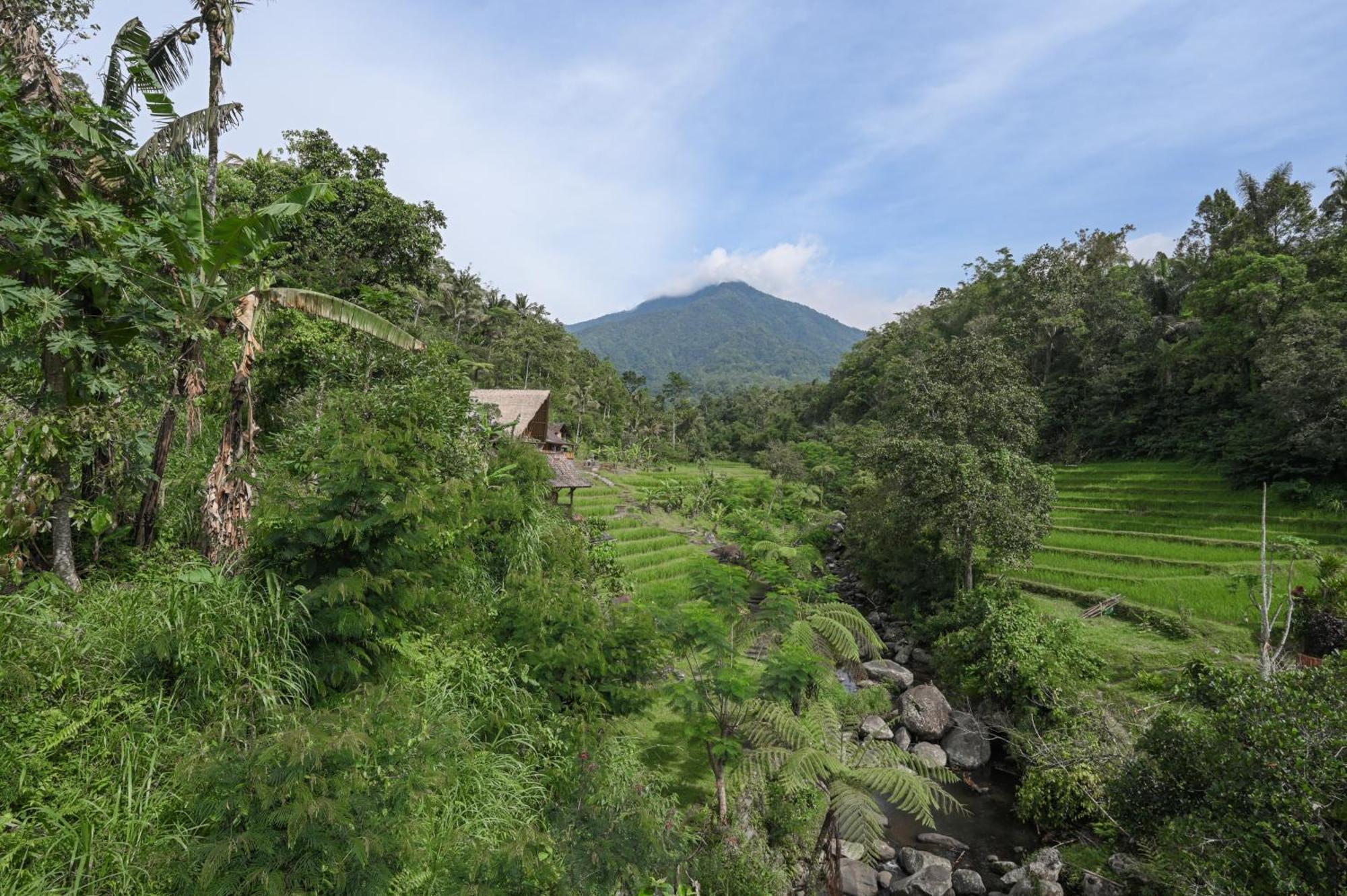 Yeh Baat Villa Jatiluwih Buitenkant foto
